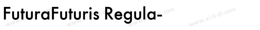 FuturaFuturis Regula字体转换